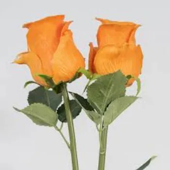 natural Artificial Rose